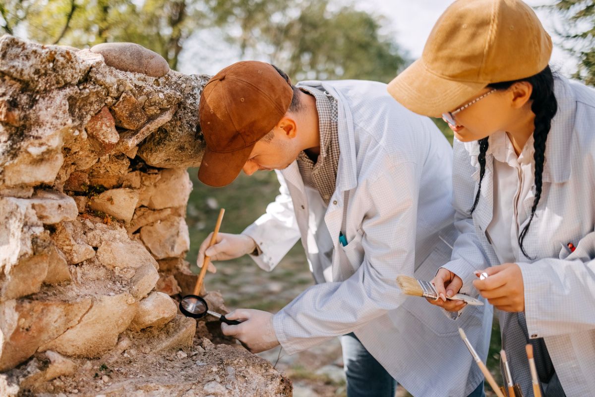 This ancient fossil insect lived 520 million years ago