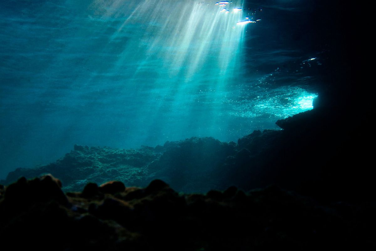 Unearthed After 500 Million Years