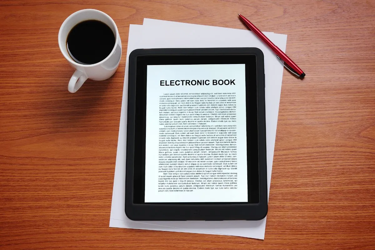 liseuse électronique