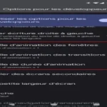 désactiver les options d’animation étape 2