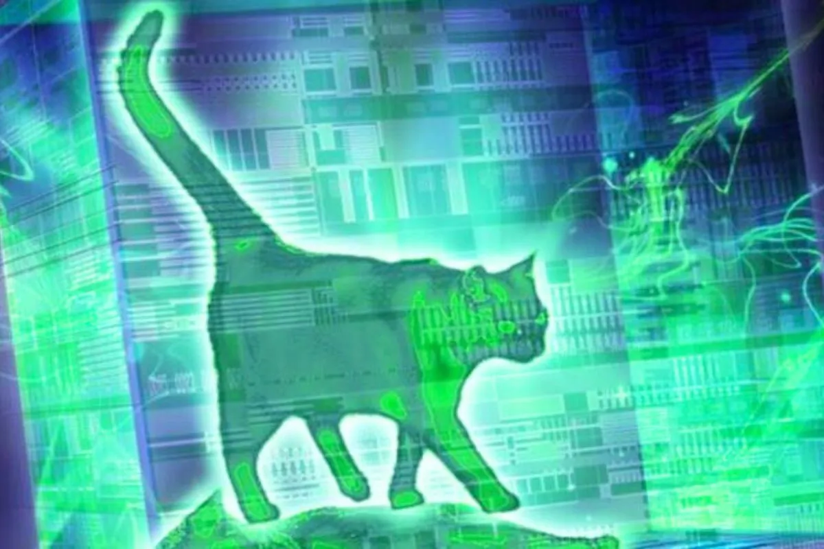 Ils ont réchauffé le chat de Schrödinger sans le tuer